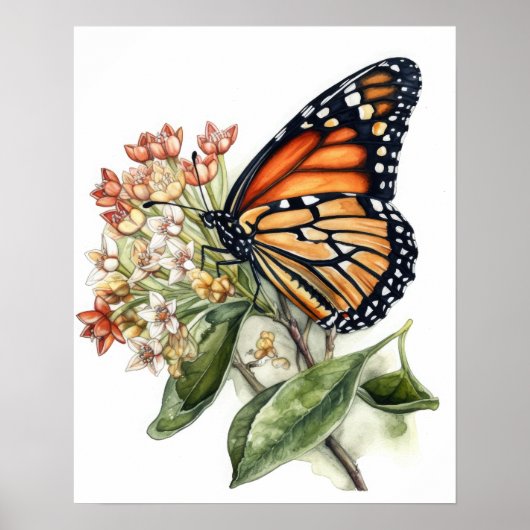 Tiger Milkweed Butterfly Art Print Poster (Voorkant)