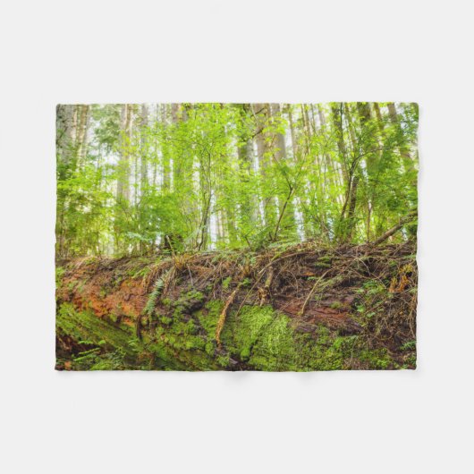Tiger Mountain | Issaquah, staat Washington Fleece Deken (Voorkant (Horizontaal))