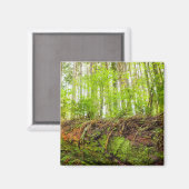 Tiger Mountain | Issaquah, staat Washington Magneet (Voorkant / Achterkant)