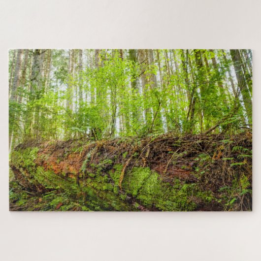 Tiger Mountain | Issaquah, Washington State Legpuzzel (Horizontaal)