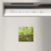 Tiger Mountain | Issaquah, Washington State Magneet (Insitu (Vaatwasser))