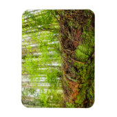 Tiger Mountain | Issaquah, Washington State Magneet (Verticaal)
