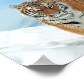 Tiger Mountains Winter Natuur Fotosneeuwdruk Poster (Hoek)