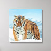 Tiger Mountains Winter Snow Natuur Photo Canvas (Voorkant)