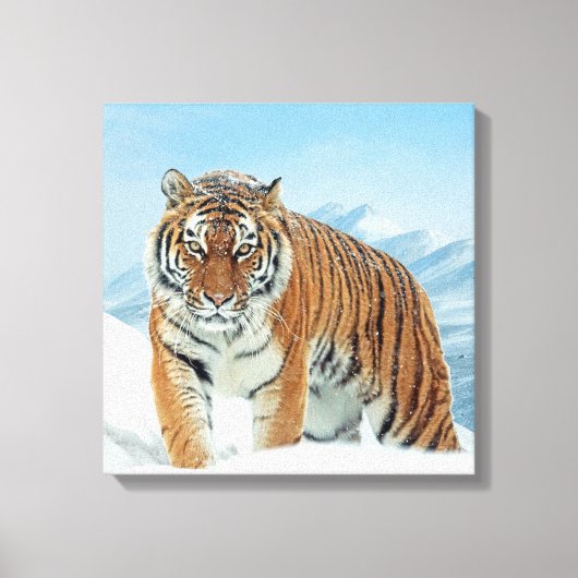 Tiger Mountains Winter Snow Natuur Photo Canvas (Voorkant)