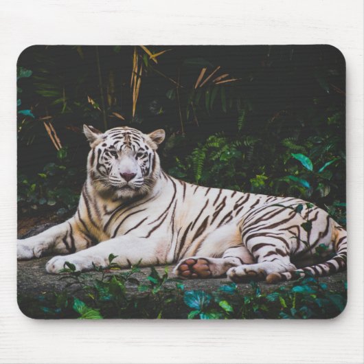 Tiger Mousepad Muismat (Voorkant)