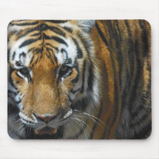 Tiger Mousepad Muismat (Voorkant)