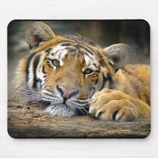 Tiger Mousepad Muismat (Voorkant)