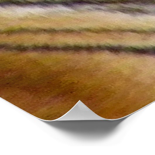 Tiger Mouth_ Poster (Hoek)