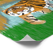 Tiger Oasis Poster (Hoek)