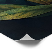 “Tiger of Mine” – Colourful Tiger Portrait Poster (Hoek)