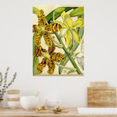 Tiger Orchid Unique Poster Decor (Keuken)