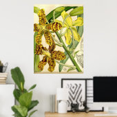 Tiger Orchid Unique Poster Decor (Thuiskantoor)