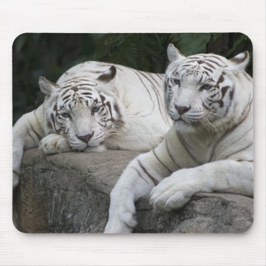 Tiger Pair Muismat (Voorkant)