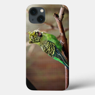 Tiger Parakeet iPhone 13 Hoesje