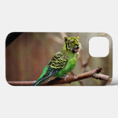 Tiger Parakeet Case-Mate iPhone Case (Achterkant (horizontaal))