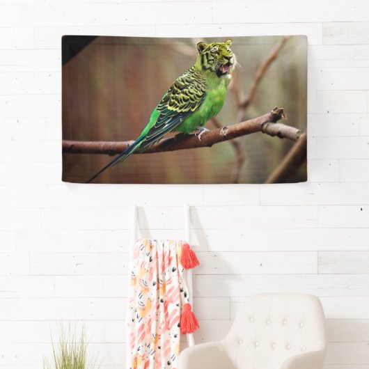 Tiger Parakeet Spandoek (Insitu)