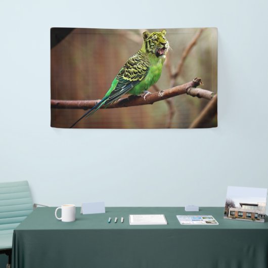 Tiger Parakeet Spandoek (Beurs)