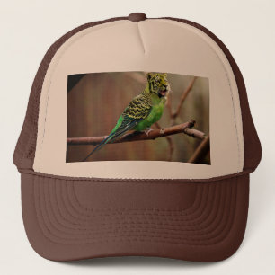 Tiger Parakeet Trucker Pet