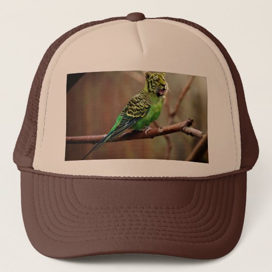 Tiger Parakeet Trucker Pet (Voorkant)