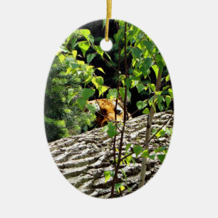 Tiger Peek-a-boo Ornamnet Keramisch Ornament