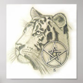 Tiger Pentacle Poster (Voorkant)