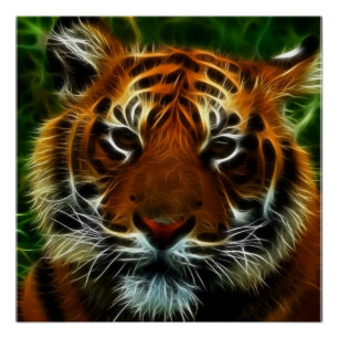 TIGER PERFECT POSTER