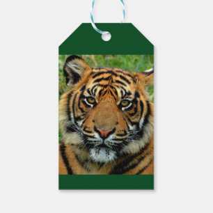 Tiger Personalized Birthday Gift Label Cadeaulabel