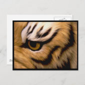 Tiger Photo Briefkaart (Voorkant / Achterkant)