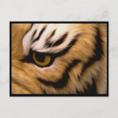 Tiger Photo Briefkaart (Voorkant)