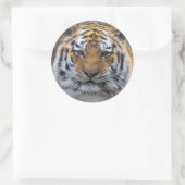 Tiger Photo Fog Sluiten Sticker (Tas)