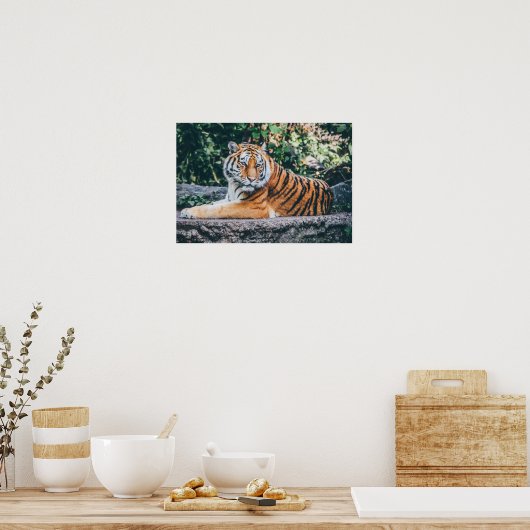 Tiger Photo Poster (Keuken)