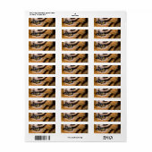 Tiger Photo Return Label (Full Sheet)