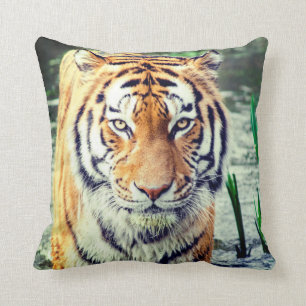 Tiger Pillow Kussen