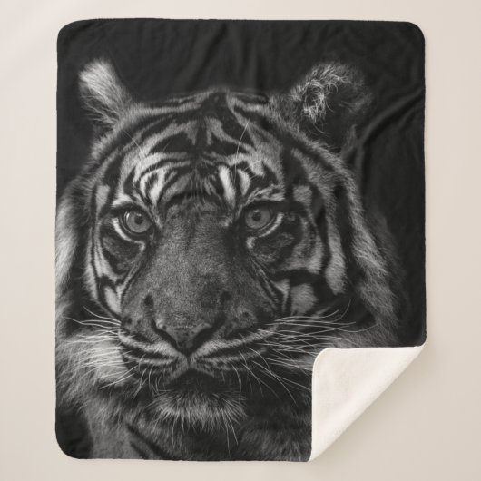 TIGER PORTRAIT IN BW SHERPA DEKEN (Voorkant)