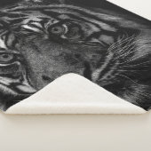 TIGER PORTRAIT IN BW SHERPA DEKEN (3/4)