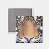 Tiger Portrait Magneet (Voorkant / Achterkant)