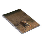 TIGER PORTRAT NOTITIEBOEK (Rechterzijde)