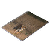 TIGER PORTRAT NOTITIEBOEK (Linkerzijde)