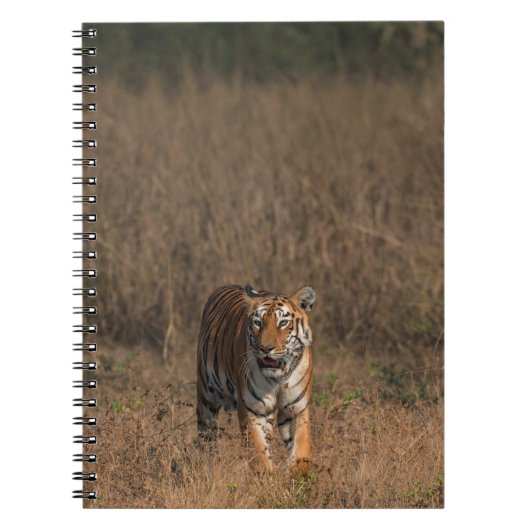 TIGER PORTRAT NOTITIEBOEK (Voorkant)
