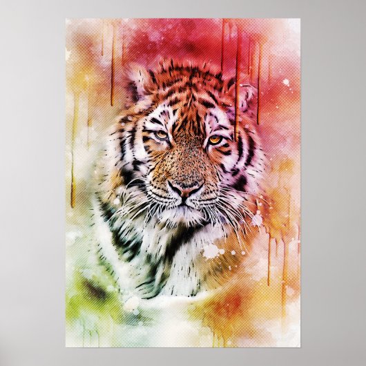 Tiger Portret Face Waterverf Grafische kunst Poster (Voorkant)