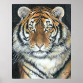 Tiger Poster, Kunst van Carla Kurt Poster (Voorkant)