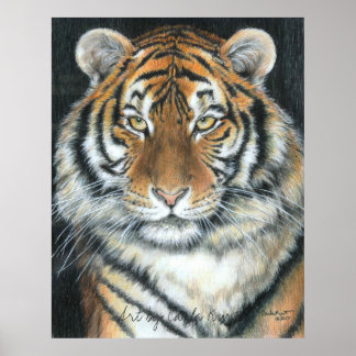 Tiger Poster, Kunst van Carla Kurt Poster