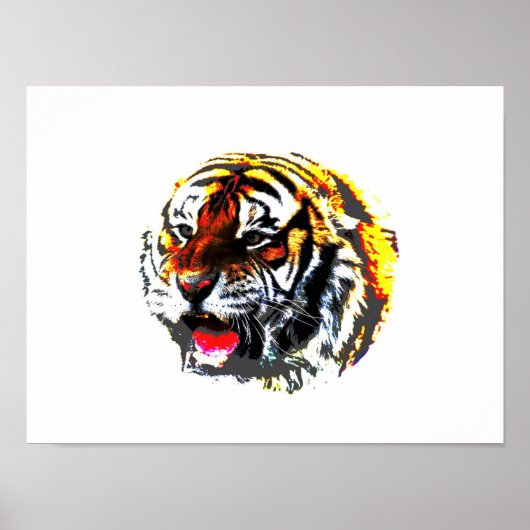 Tiger Poster Print - SiberianTigers Posters (Voorkant)
