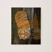Tiger Puzzle Legpuzzel (Verticaal)