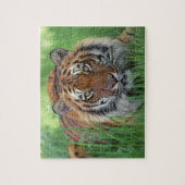 Tiger Puzzle Legpuzzel (Verticaal)