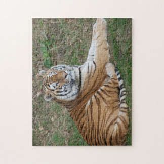 Tiger Puzzle Legpuzzel