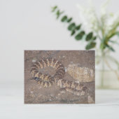 Tiger Rattlesnake Briefkaart (Staand voorkant)