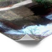 Tiger Roll Poster (Hoek)