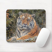 Tiger Royal Mousepad Muismat (Met muis)